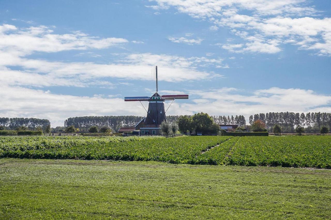 Slapen Aan De Voet Van De Molen Ovezande Buitenkant foto