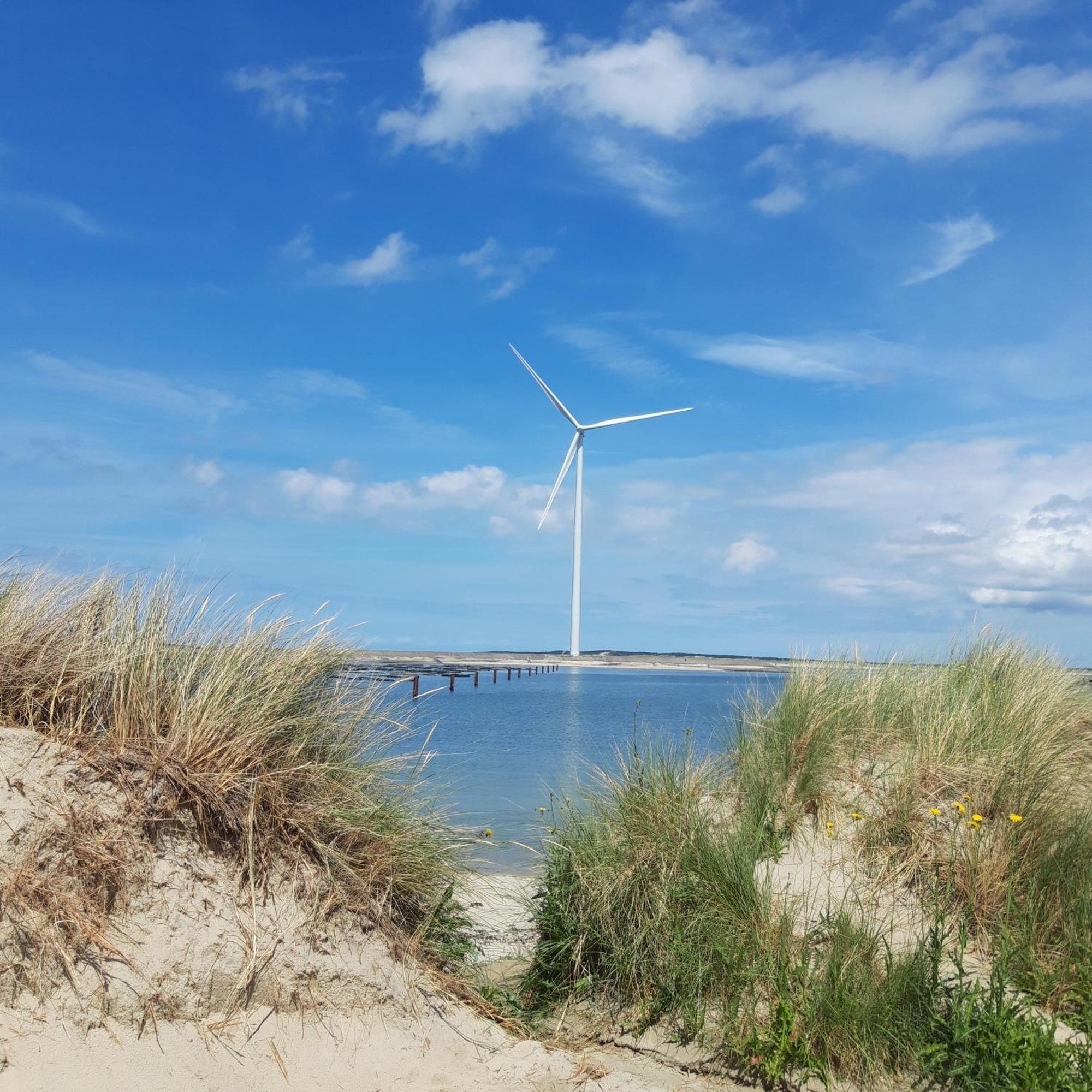 Slapen Aan De Voet Van De Molen Ovezande Buitenkant foto